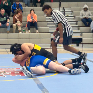 RV Wrestling 3